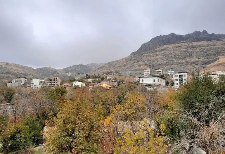 2 برغان