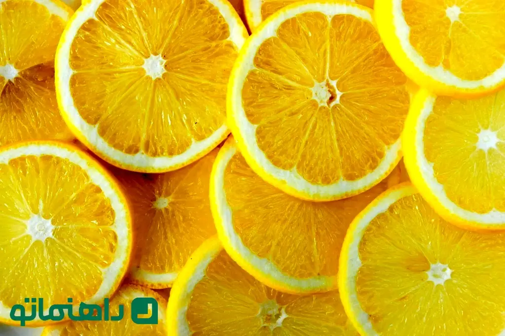 lemon_slices_lemon_juice-scaled-1_11zon