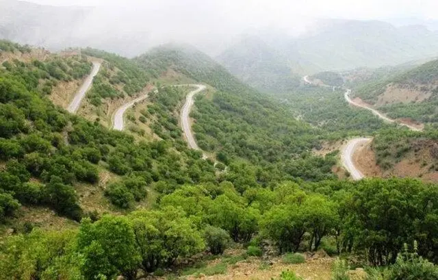تاراز