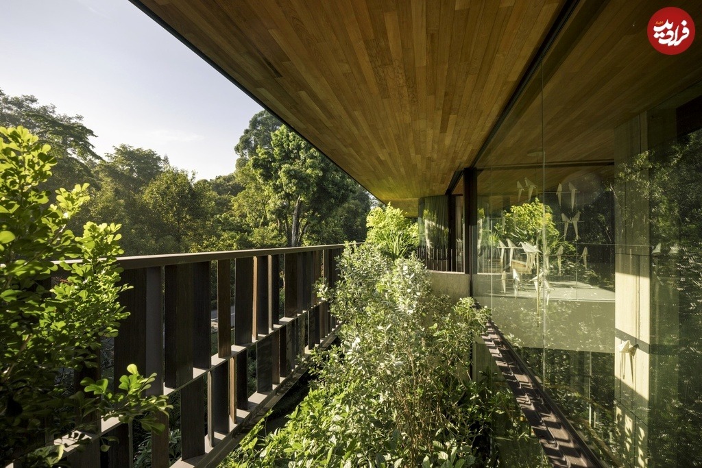 touching-eden-house-wallflower-architecture-plus-design_8_11zon