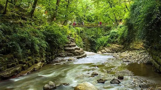 جنگل و آبشار ویسادار