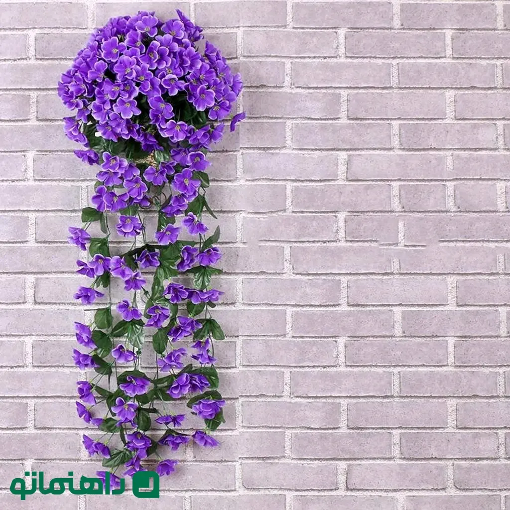 گل بنفشه