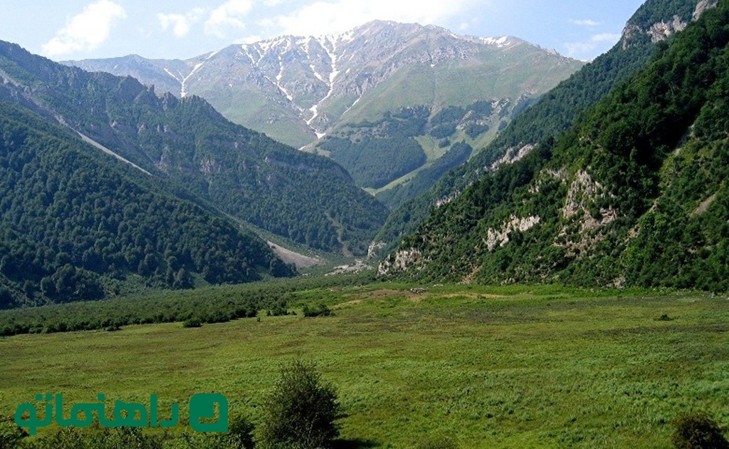 جنگل دوهزار و سه هزار مازندران