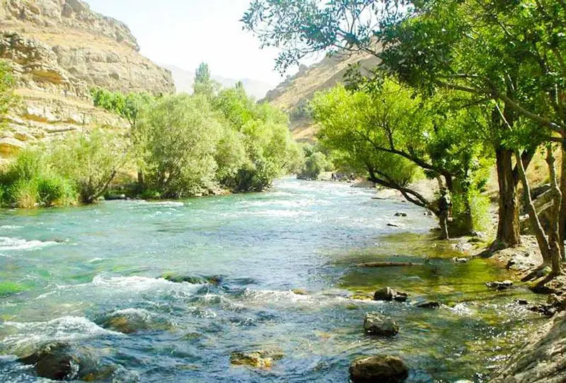 شاندیز