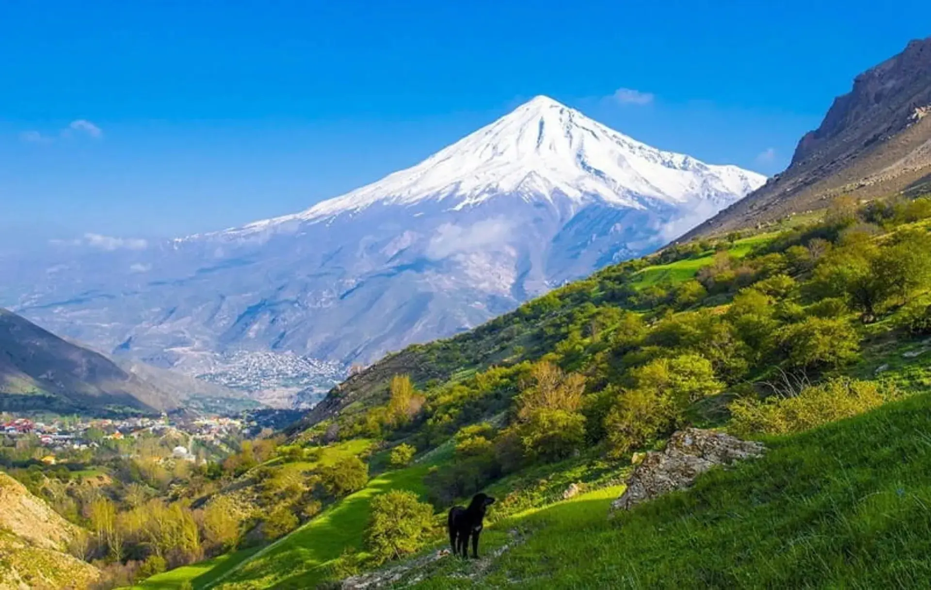 روستای پلور