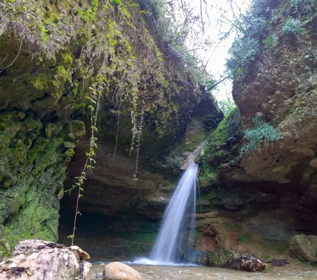پلنگ دره