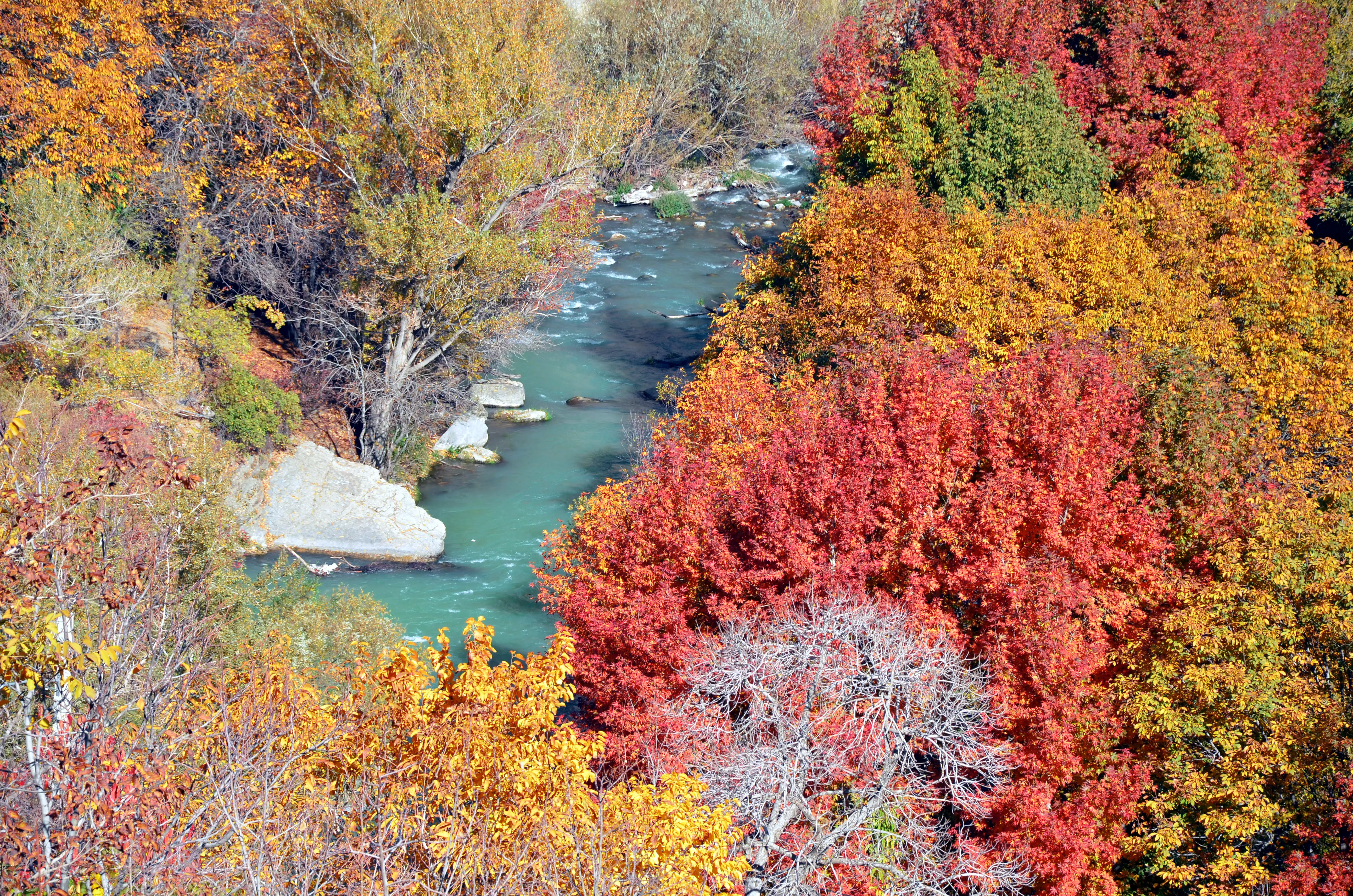 آدران