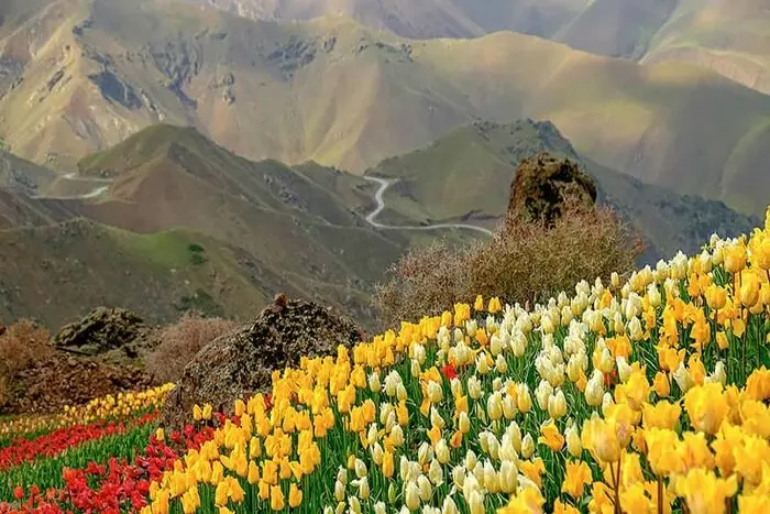 روستای کندر