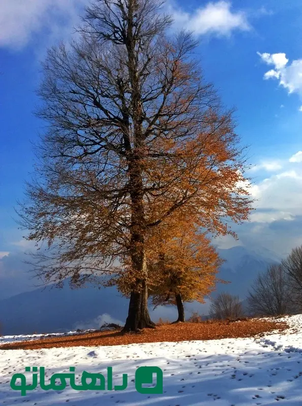 روستای مازیچال در زمستان2