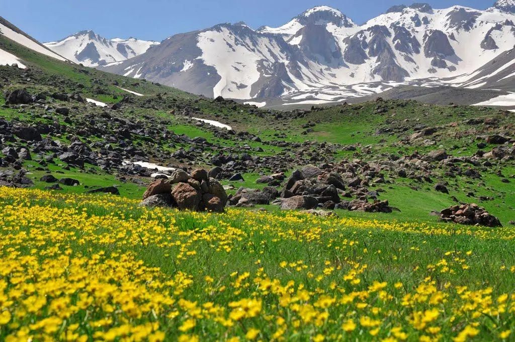 روستای آلوارس