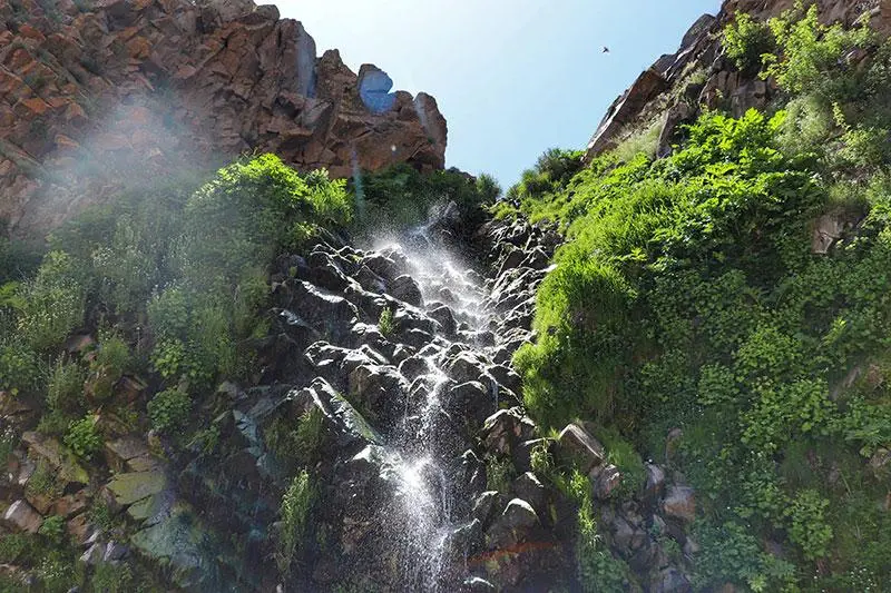 سردابه