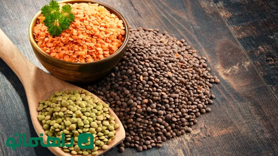 Different-Types-of-Lentils