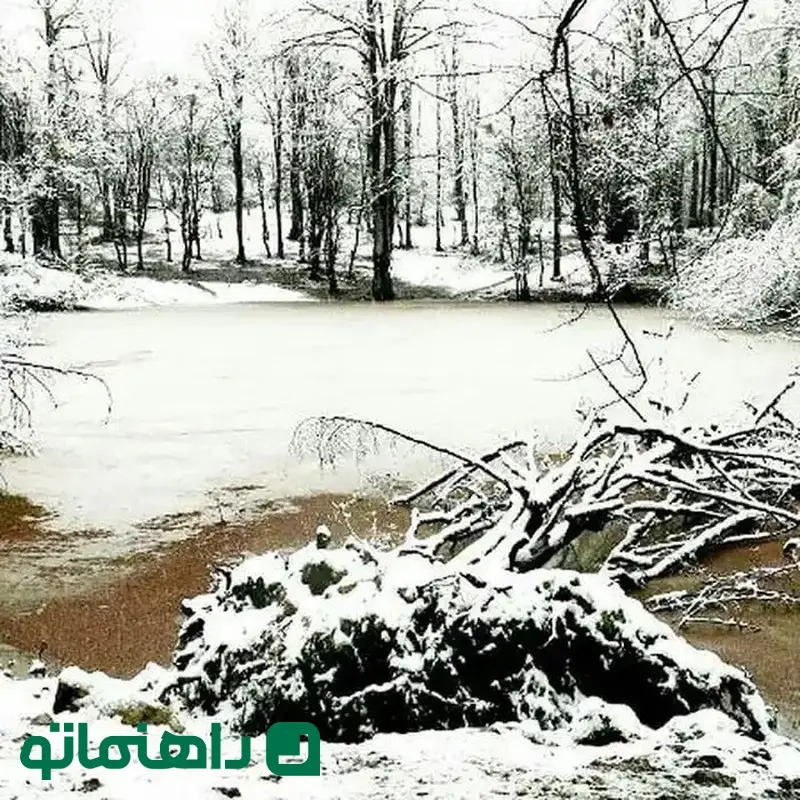 سفر زمستانی به مرداب هسل2