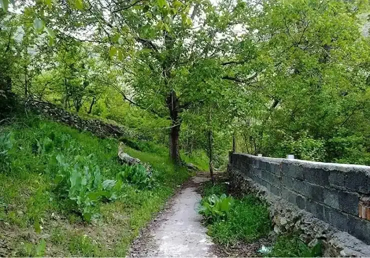 روستای وردیج 5