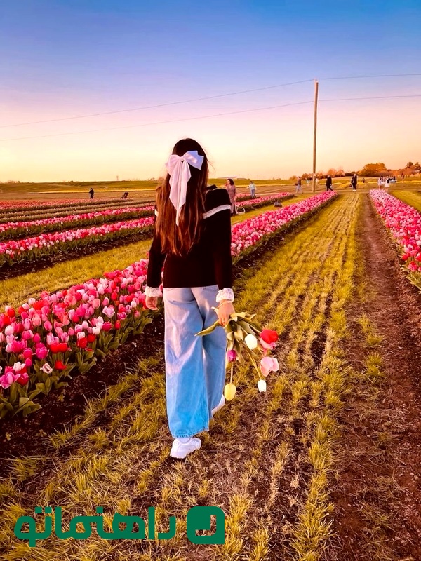 tulip fields spring outfit and photo inspo _3