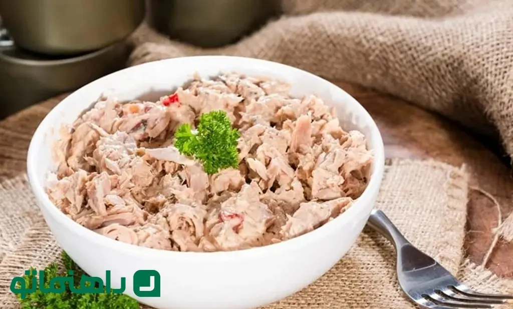 Food-with-tuna-fish-min_11zon