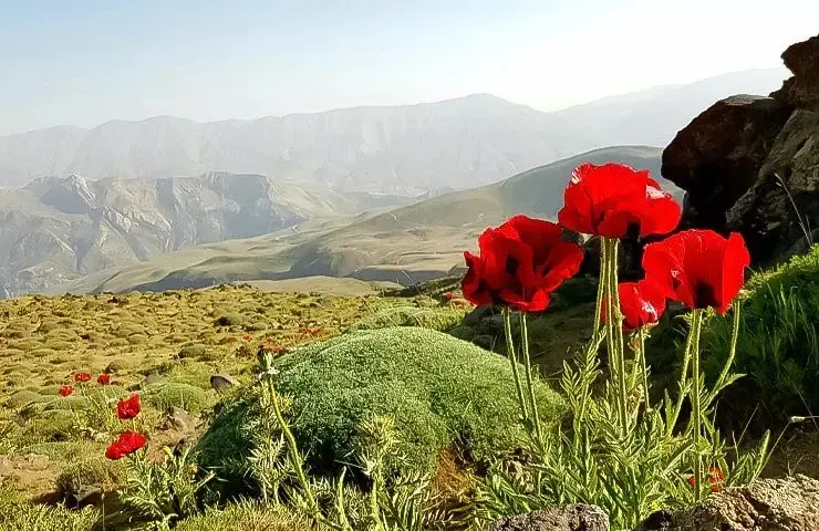 روستای افجه 5