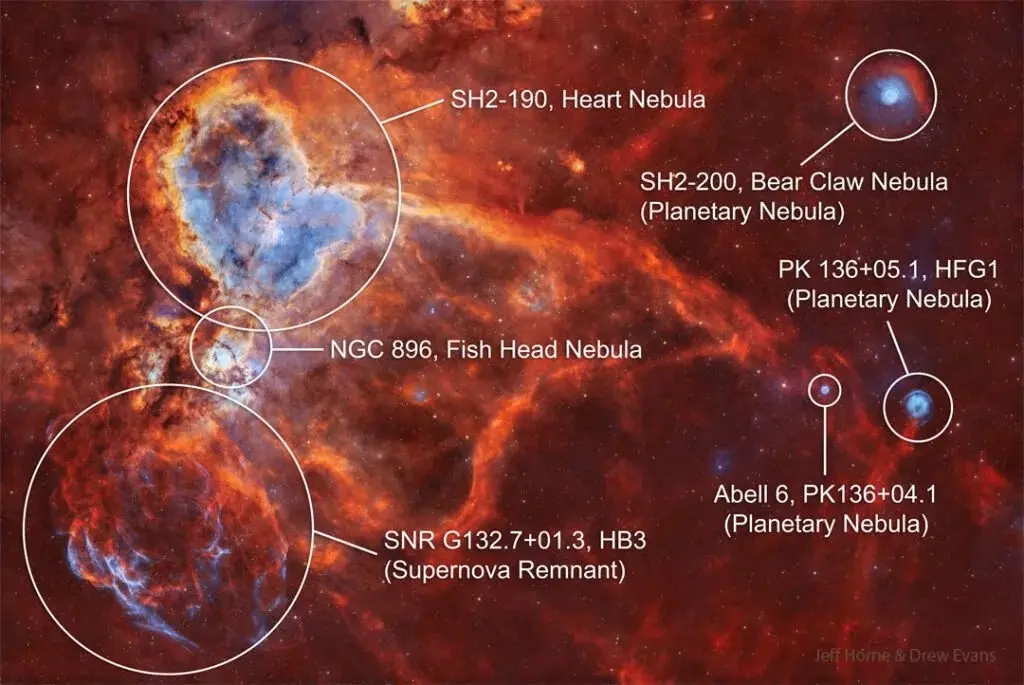 Heart_HorneEvans_1080_annotated-1-1024x685.jpg_11zon