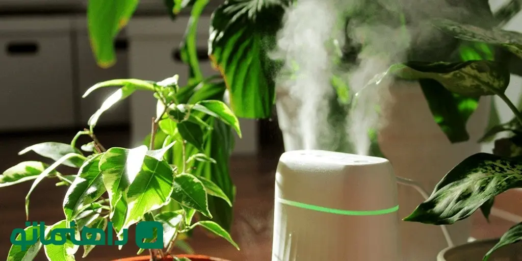 humidifier-beside-houseplants-salisbury-greenhouse_11zon