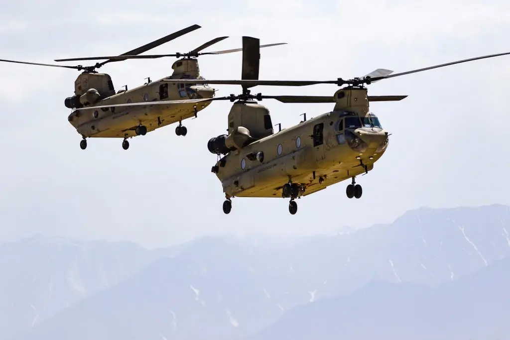 chinooks-1024x683