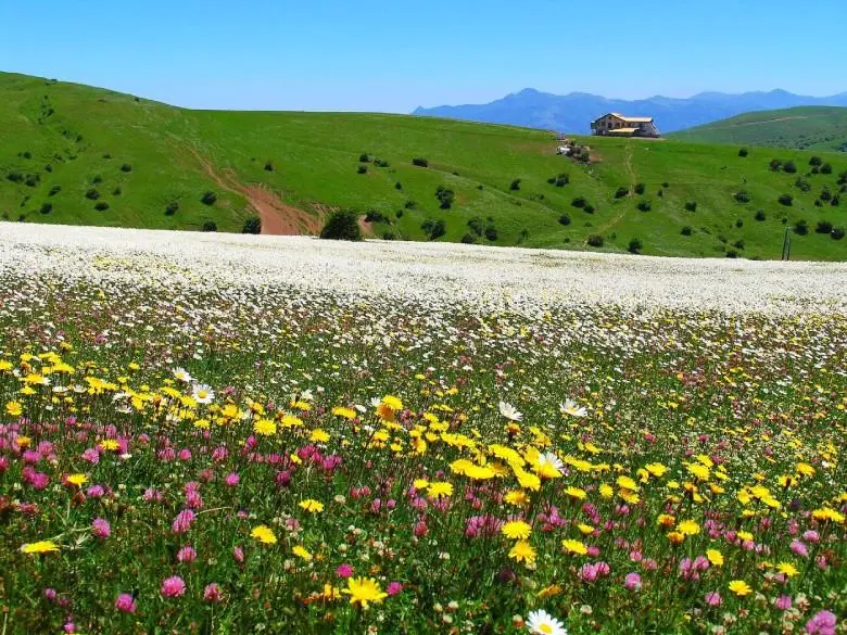 عنبران