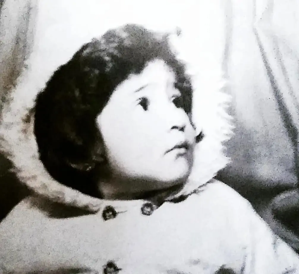 کبری سریال انام