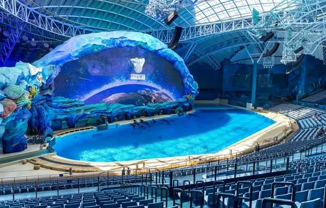 سفری شگفت‌انگیز به بزرگ‌ترین آکواریوم جهان + ویدئو 