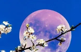 «ماه توت‌فرنگی» چیست؟ / حقایقی درباره ماه کامل ۲۰ و ۲۱ خرداد