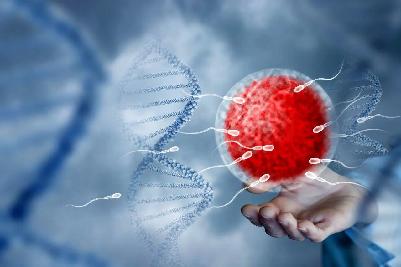 رازهای پنهان ساختار پروتئین‌های کلیدی در کشف ساختارهای مولکولی مرتبط با ناباروری مردان