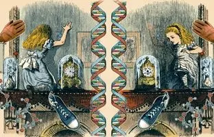 
آن‌سوی آینه؛ جهان با تصویر آینه‌ای خود چه تفاوتی دارد؟
