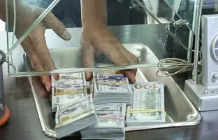 
ارز دولتی؛ حقایقی از سود ۱۳ میلیونی در یک روز
