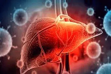 سلامت کبد را با این ویتامین‌ها تضمین کنید