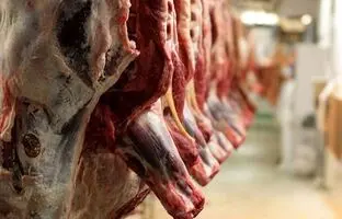 راهنمای بازار؛ قیمت گوشت قرمز، امروز ۲۳ اردیبهشت ۱۴۰۴
