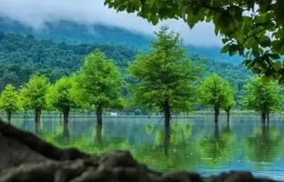 3 بهشت پنهان و خنک نزدیک تهران؛ 3 مقصد جدید سفر در فصل گرما