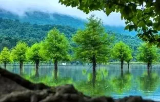 3 بهشت پنهان و خنک نزدیک تهران؛ 3 مقصد جدید سفر در فصل گرما