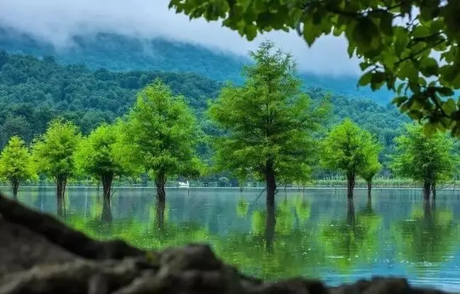 3 بهشت پنهان و خنک نزدیک تهران؛ 3 مقصد جدید سفر در فصل گرما