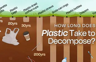 نگاهی به مدت زمان تجزیه انواع پلاستیک در طبیعت + جدول