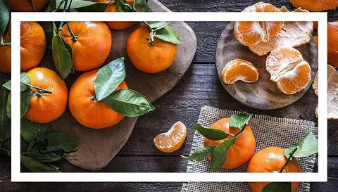 7میوه پرخاصیت که در پاییز حتما باید بخورید