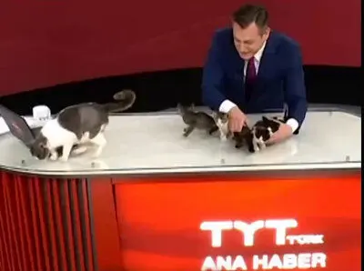 به دنیا آمدن بچه‌ها در پخش زنده اتاق خبر! +ویدئو