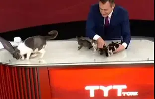 به دنیا آمدن بچه‌ها در پخش زنده اتاق خبر! +ویدئو