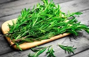  رزماری چه خواصی دارد؟ 