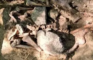 (تصویر) کشف یک گور غیر باستانی معمول در آلمان