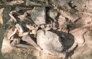 (تصویر) کشف یک گور غیر باستانی معمول در آلمان