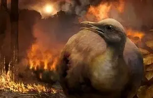  چرا پرنده‌ها زنده ماندند اما دایناسورها منقرض شدند؟ + تصاویر