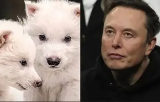 حیوان خانگی عجیب ایلان ماسک 