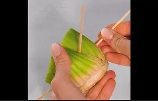 (ویدئو) انواع روش های ساده برای تکثیر گیاهان مختلف (فیلم)