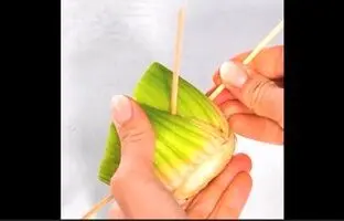 (ویدئو) انواع روش های ساده برای تکثیر گیاهان مختلف (فیلم)