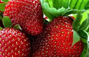 هر روز 1 تا 4 فنجان توت فرنگی بخورید 