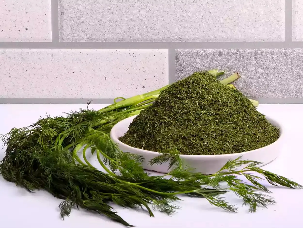 نحوه خشک کردن شوید در منزل 