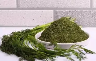 نحوه خشک کردن شوید در منزل 